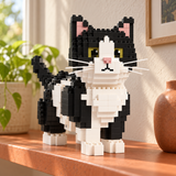 Black and White Cat