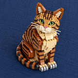Brown Tabby Cat