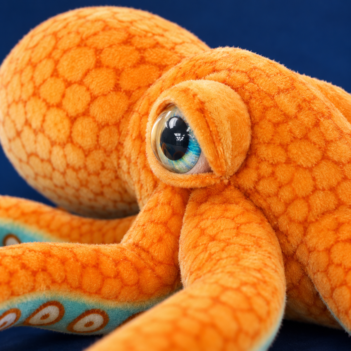 Tangerine Octopus