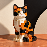 Calico Cat