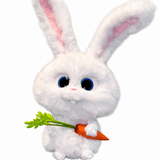 Bunny with Carrot