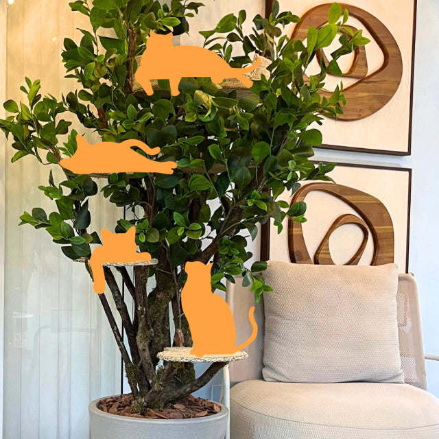 1.8m Natural Tree Cat Tower｜Handcrafted Multi-Level Cat Climbing Tree for Indoor Cats