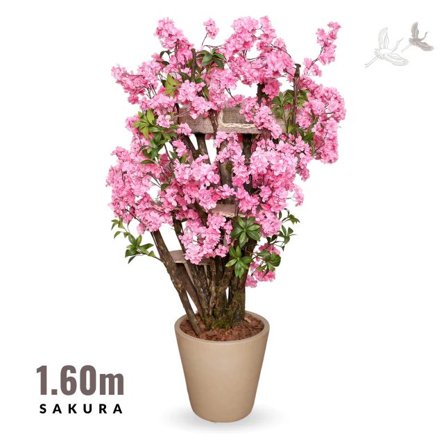 Inspired by Spring, Designed to Last