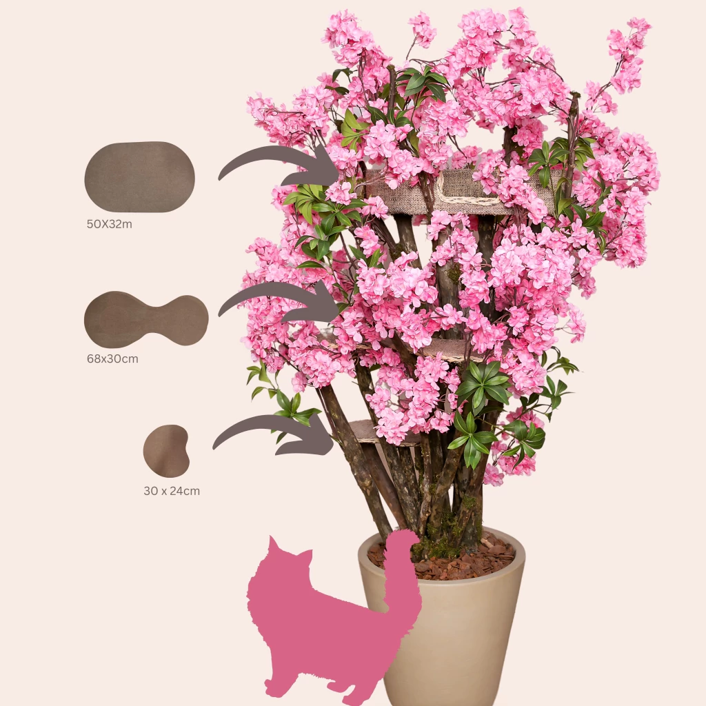 Inspired by Spring, Designed to Last
