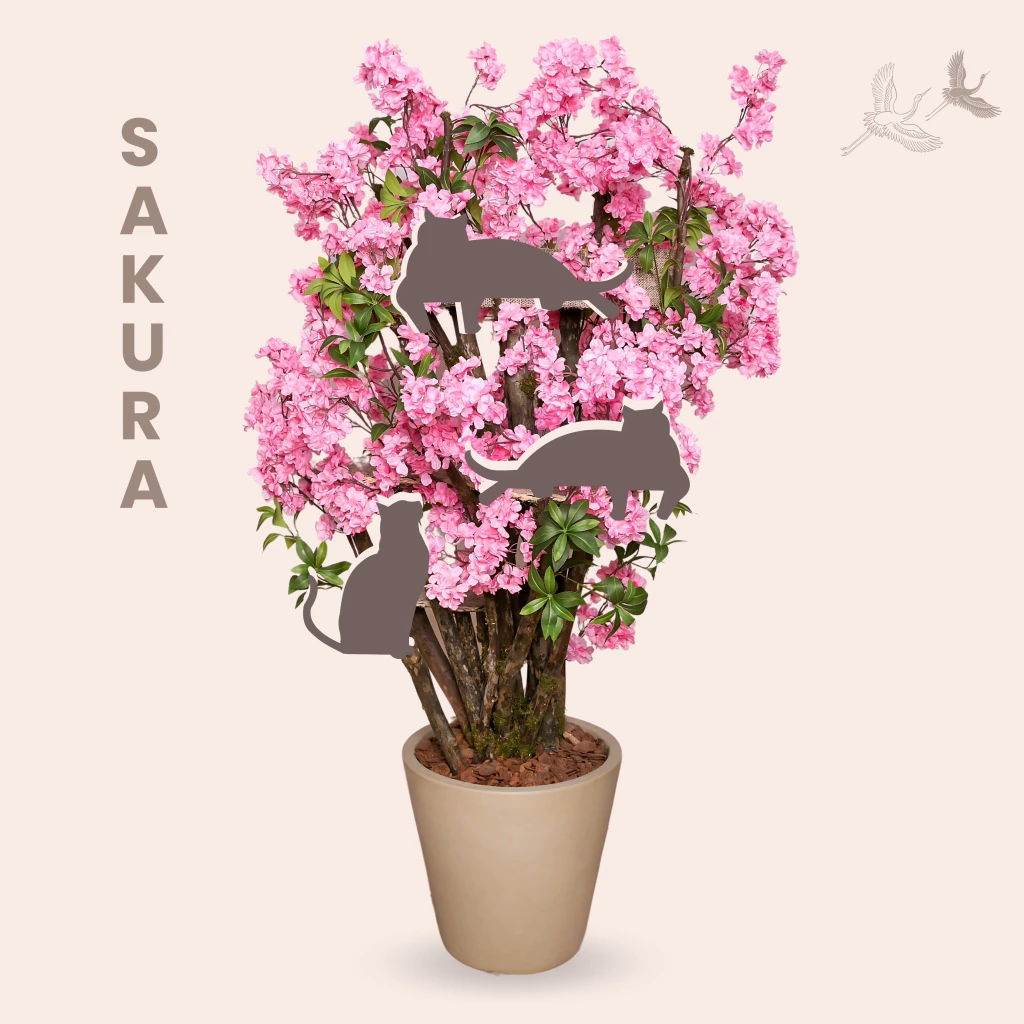 Inspired by Spring, Designed to Last