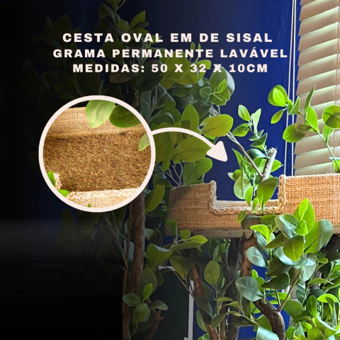 1.6m Natural Tree Cat Tower｜3-Level Indoor Cat Tree with Sisal Platforms
