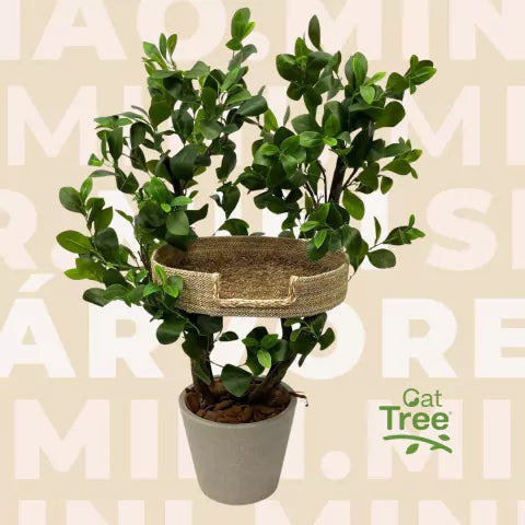 1.1m Natural Tree Mini Cat Tower｜Compact Indoor Cat Tree for Single Cats
