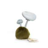 Parasol Mushroom